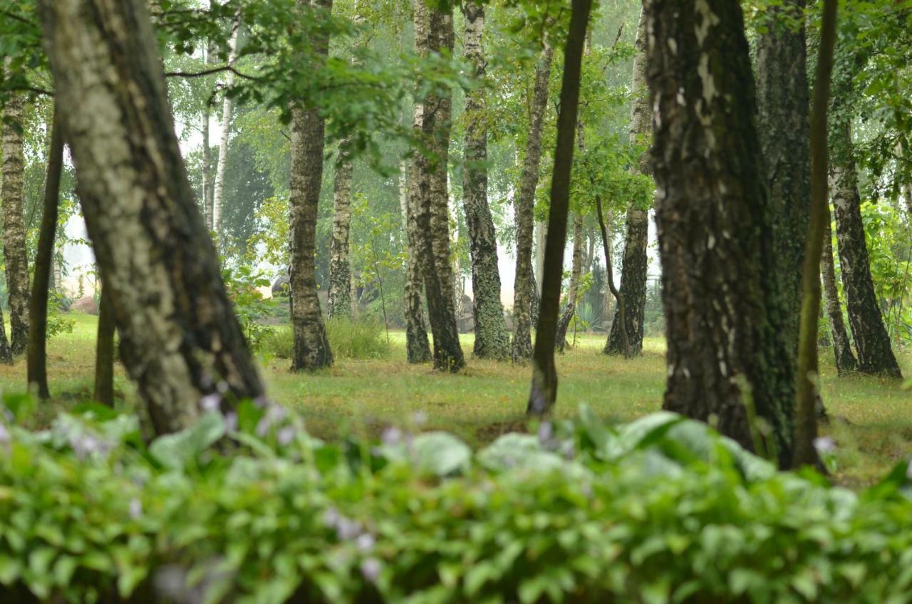 Zofijowka Villa Osjakow Luaran gambar